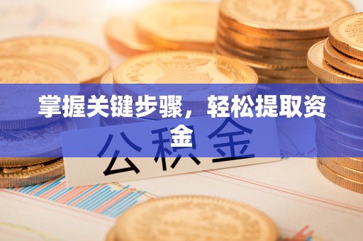 徐州掌握关键步骤，轻松提取资金