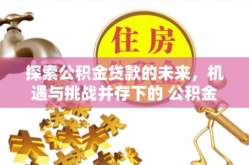 徐州探索公积金贷款的未来，机遇与挑战并存下的 公积金贷款风险防控