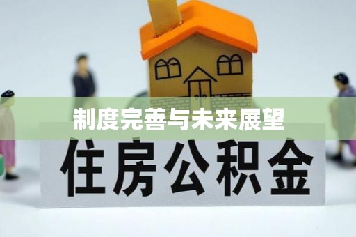 徐州制度完善与未来展望