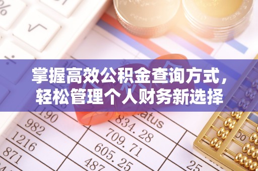 徐州掌握高效公积金查询方式，轻松管理个人财务新选择