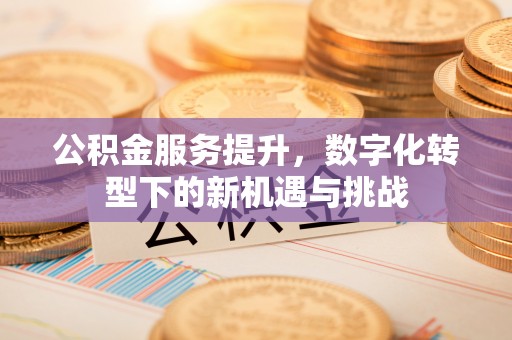 徐州公积金服务提升，数字化转型下的新机遇与挑战