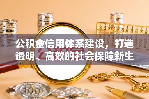 徐州公积金信用体系建设，打造透明、高效的社会保障新生态