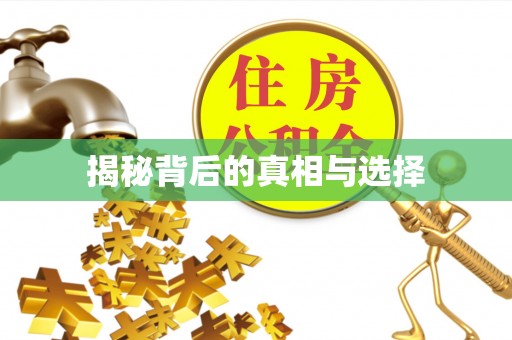 徐州揭秘背后的真相与选择