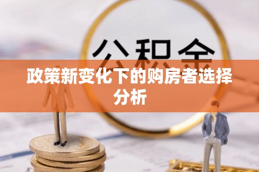 徐州政策新变化下的购房者选择分析