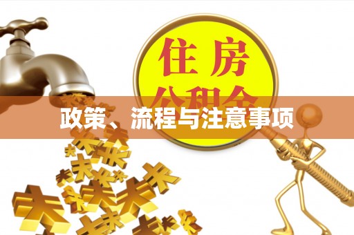 徐州政策、流程与注意事项
