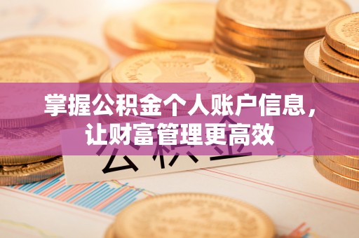 徐州掌握公积金个人账户信息，让财富管理更高效