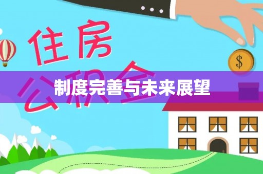 徐州制度完善与未来展望