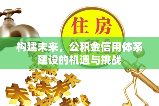 徐州构建未来，公积金信用体系建设的机遇与挑战