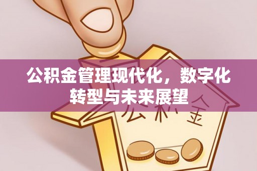 徐州公积金管理现代化，数字化转型与未来展望
