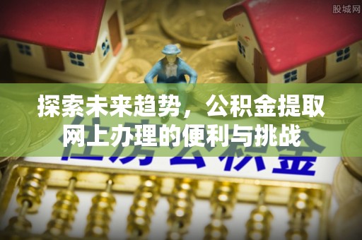 徐州探索未来趋势，公积金提取网上办理的便利与挑战