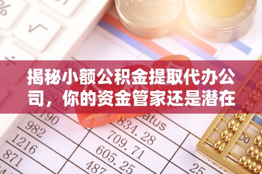 徐州揭秘小额公积金提取代办公司，你的资金管家还是潜在风险？