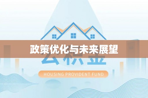 徐州政策优化与未来展望