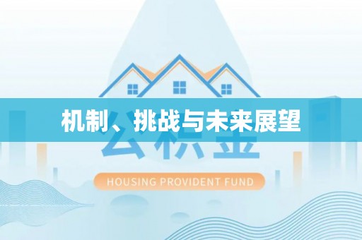 徐州机制、挑战与未来展望
