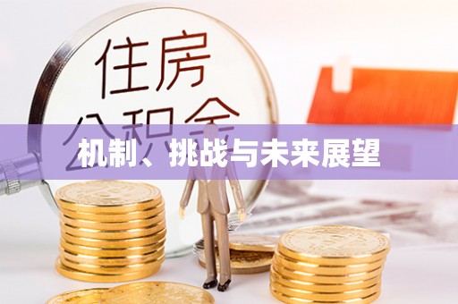 徐州机制、挑战与未来展望